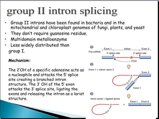 • Group II introns have been found in bacteria and in the
mitochondrial and chloroplast genomes of fungi, plants, and yeast
• They don’t require guanosine residue.
• Multidomain metalloenzyme
• Less widely distributed than
group I.
Mechanism:
The 2’OH of a specific adenosine acts as
a nucleophile and attacks the 5’ splice
site creating a branched intron
structure. The 3’ OH of the 5’ exon
attacks the 3’ splice site, ligating the
exons and releasing the intron as a lariat
structure.
 