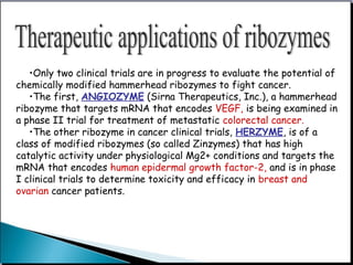 •Only two clinical trials are in progress to evaluate the potential of
chemically modified hammerhead ribozymes to fight cancer.
•The first, ANGIOZYME (Sirna Therapeutics, Inc.), a hammerhead
ribozyme that targets mRNA that encodes VEGF, is being examined in
a phase II trial for treatment of metastatic colorectal cancer.
•The other ribozyme in cancer clinical trials, HERZYME, is of a
class of modified ribozymes (so called Zinzymes) that has high
catalytic activity under physiological Mg2+ conditions and targets the
mRNA that encodes human epidermal growth factor-2, and is in phase
I clinical trials to determine toxicity and efficacy in breast and
ovarian cancer patients.
 