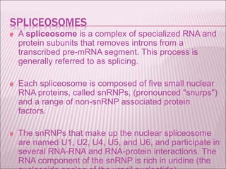 SPLICEOSOMES
A spliceosome is a complex of specialized RNA and
protein subunits that removes introns from a
transcribed pre-mRNA segment. This process is
generally referred to as splicing.
Each spliceosome is composed of five small nuclear
RNA proteins, called snRNPs, (pronounced "snurps")
and a range of non-snRNP associated protein
factors.
The snRNPs that make up the nuclear spliceosome
are named U1, U2, U4, U5, and U6, and participate in
several RNA-RNA and RNA-protein interactions. The
RNA component of the snRNP is rich in uridine (the
 