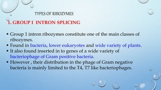 TYPES OF RIBOZYMES
1. GROUP I INTRON SPLICING
 Group 1 intron ribozymes constitute one of the main classes of
ribozymes.
...