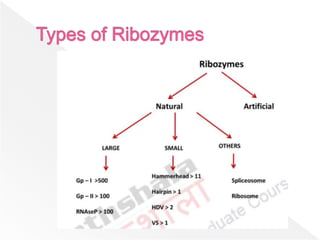 Ribozyme | PPTX