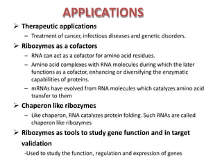 APPLICATIONS
 Therapeutic applications
– Treatment of cancer, infectious diseases and genetic disorders.
 Ribozymes as a cofactors
– RNA can act as a cofactor for amino acid residues.
– Amino acid complexes with RNA molecules during which the later
functions as a cofactor, enhancing or diversifying the enzymatic
capabilities of proteins.
– mRNAs have evolved from RNA molecules which catalyzes amino acid
transfer to them
 Chaperon like ribozymes
– Like chaperon, RNA catalyzes protein folding. Such RNAs are called
chaperon like ribozymes
 Ribozymes as tools to study gene function and in target
validation
-Used to study the function, regulation and expression of genes
 