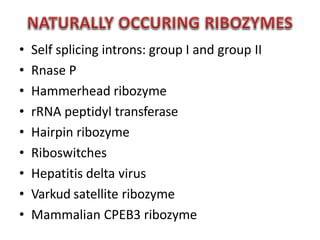 • Self splicing introns: group I and group II
• Rnase P
• Hammerhead ribozyme
• rRNA peptidyl transferase
• Hairpin ribozyme
• Riboswitches
• Hepatitis delta virus
• Varkud satellite ribozyme
• Mammalian CPEB3 ribozyme
 