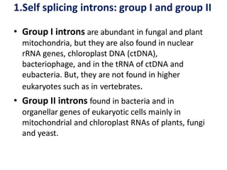 1.Self splicing introns: group I and group II
• Group I introns are abundant in fungal and plant
mitochondria, but they are also found in nuclear
rRNA genes, chloroplast DNA (ctDNA),
bacteriophage, and in the tRNA of ctDNA and
eubacteria. But, they are not found in higher
eukaryotes such as in vertebrates.
• Group II introns found in bacteria and in
organellar genes of eukaryotic cells mainly in
mitochondrial and chloroplast RNAs of plants, fungi
and yeast.
 