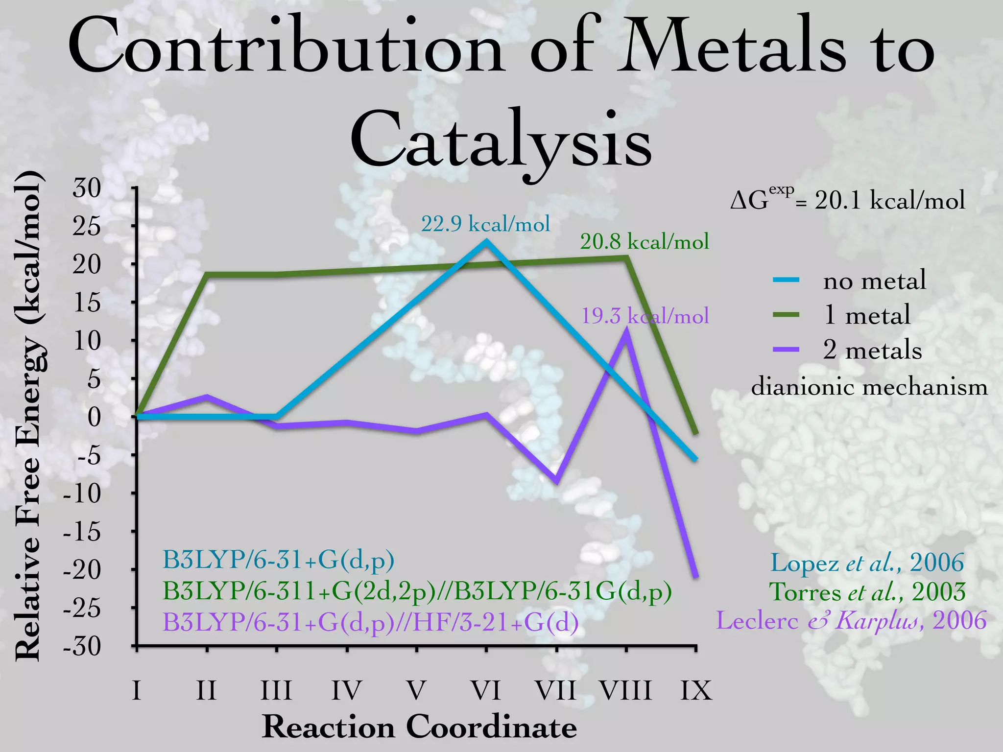 Contribution of Metals to
                                         Catalysis
Relative Free Energy (kcal/mol)



                                   30                                                              exp
                                                                                                ΔG = 20.1 kcal/mol
                                   25                          22.9 kcal/mol
                                                                               20.8 kcal/mol
                                   20
                                                                                                         no metal
                                   15                                          19.3 kcal/mol             1 metal
                                   10                                                                    2 metals
                                    5                                                             dianionic mechanism
                                    0
                                   -5
                                  -10
                                  -15
                                  -20       B3LYP/6-31+G(d,p)                                      Lopez et al., 2006
                                            B3LYP/6-311+G(2d,2p)//B3LYP/6-31G(d,p)                 Torres et al., 2003
                                  -25       B3LYP/6-31+G(d,p)//HF/3-21+G(d)                    Leclerc & Karplus, 2006
                                  -30
                                        I     II   III   IV   V    VI     VII VIII IX
                                                   Reaction Coordinate
 