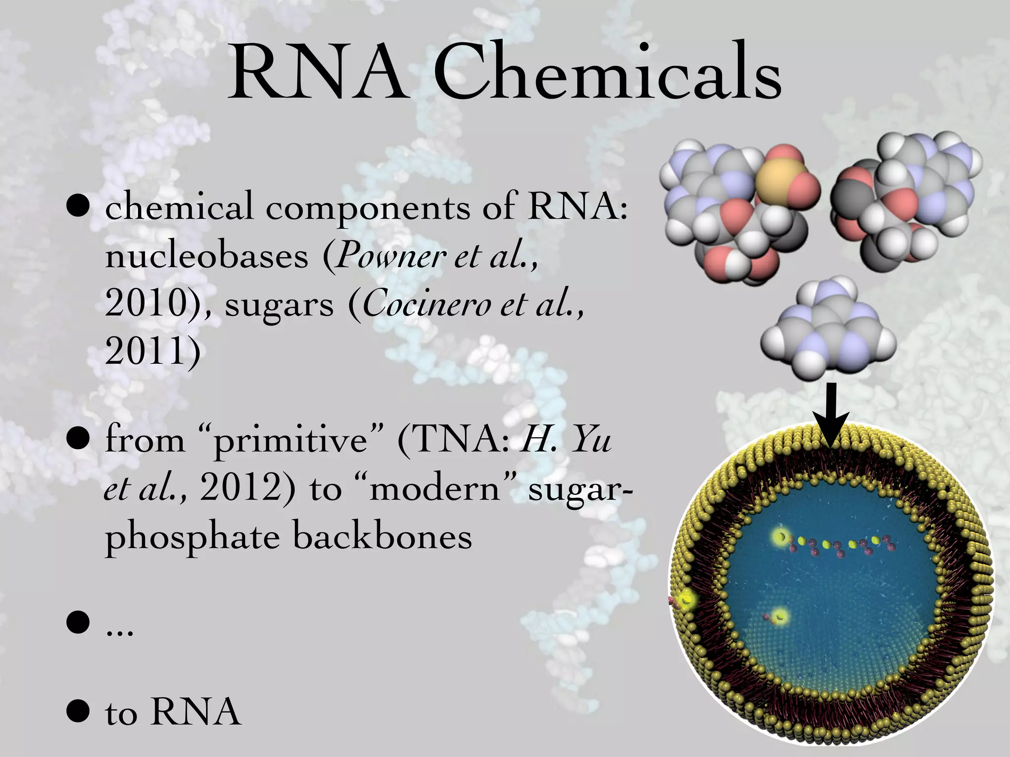 RNA Chemicals
• chemical components of RNA:
  nucleobases (Powner et al.,
  2010), sugars (Cocinero et al.,    Reviews                                                                         U. J. Meierhenrich et al.




  2011)
                                                                                                               DOI: 10.1002/anie.200905465
                                              The Origin of Life

                                              On the Origin of Primitive Cells: From Nutrient Intake
                                              to Elongation of Encapsulated Nucleotides
                                              Uwe J. Meierhenrich,* Jean-Jacques Filippi, Cornelia Meinert, Pierre Vierling, and
                                              Jason P. Dworkin




• from “primitive” (TNA: H. Yu
                                     Keywords:                                                         Dedicated to Professor Wolfram H.-P.
                                     amphiphiles · liposomes · micelles ·                                                        Thiemann
                                     nucleotides · vesicles




  et al., 2012) to “modern” sugar-
  phosphate backbones

• ...
• to RNA                             Angewandte
                                                         Chemie
 