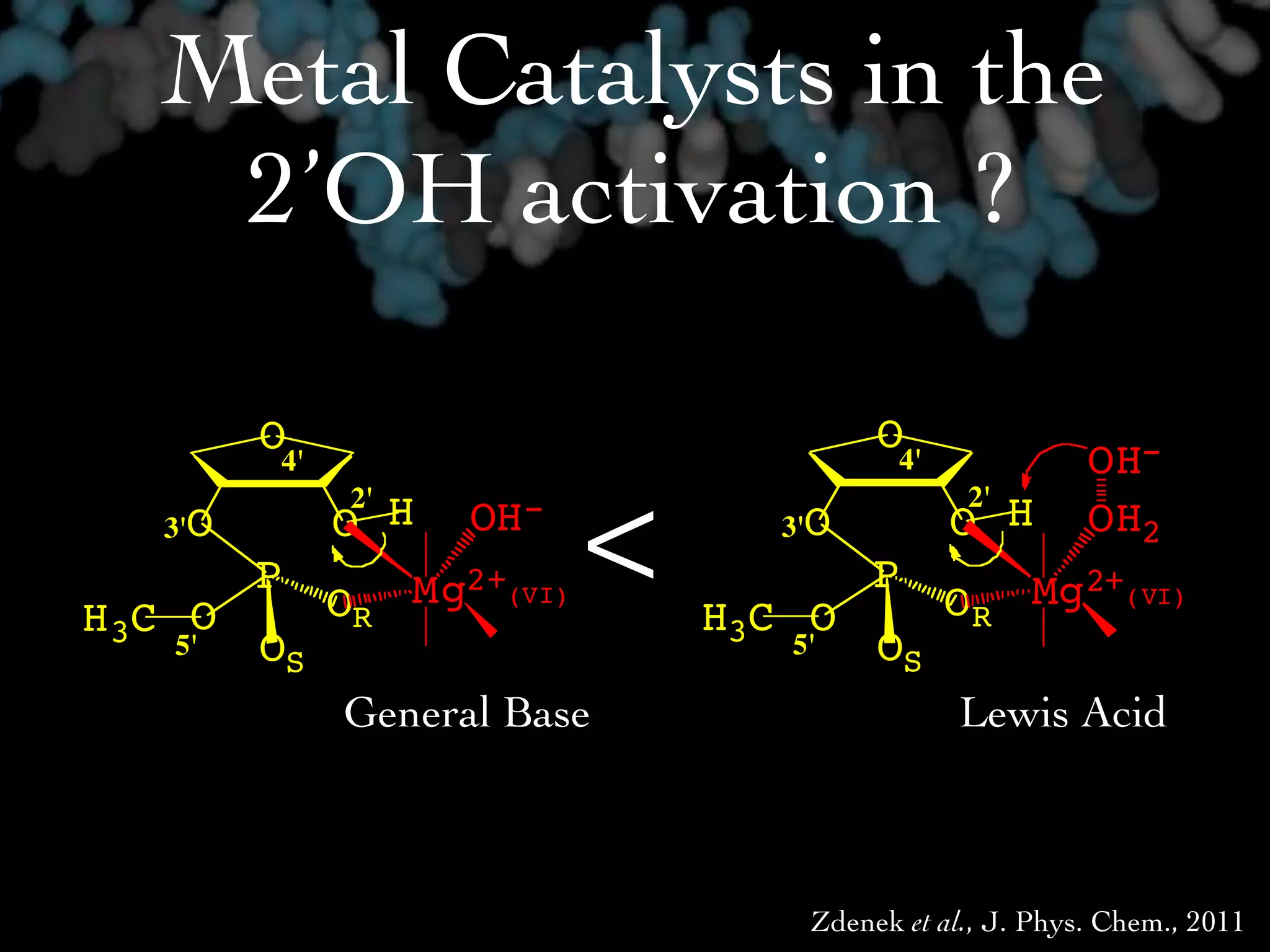 Metal Catalysts in the
    2’OH activation ?

        O4'                         O4'

                       <
                                                     OH-
              2'                           2'
    3'O    O  H OH-          3'O          O H        OH2
        P      Mg2+(VI)             P           Mg2+(VI)
H 3C O     OR              H3C O          OR
     5' OS                    5'    OS
            General Base                  Lewis Acid



                               Zdenek et al., J. Phys. Chem., 2011
 