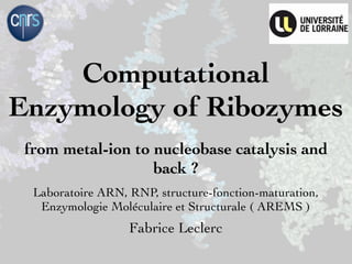 Computational
Enzymology of Ribozymes
 from metal-ion to nucleobase catalysis and
                   back ?
  Laboratoire ARN, RNP, structure-fonction-maturation,
   Enzymologie Moléculaire et Structurale ( AREMS )
                   Fabrice Leclerc
 
