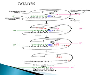 CATALYSIS
 