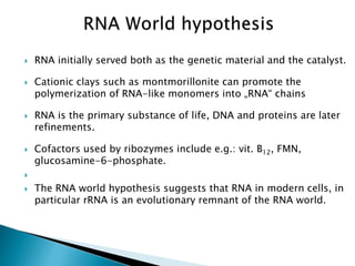  RNA initially served both as the genetic material and the catalyst.
 Cationic clays such as montmorillonite can promote the
polymerization of RNA-like monomers into „RNA“ chains
 RNA is the primary substance of life, DNA and proteins are later
refinements.
 Cofactors used by ribozymes include e.g.: vit. B12, FMN,
glucosamine-6-phosphate.

 The RNA world hypothesis suggests that RNA in modern cells, in
particular rRNA is an evolutionary remnant of the RNA world.
 