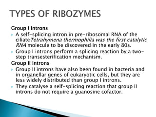 Group I Introns
 A self-splicing intron in pre-ribosomal RNA of the
ciliateTetrahymena thermophilia was the first catalytic
RNA molecule to be discovered in the early 80s.
 Group I introns perform a splicing reaction by a two-
step transesterification mechanism.
Group II Introns
 Group II introns have also been found in bacteria and
in organellar genes of eukaryotic cells, but they are
less widely distributed than group I introns.
 They catalyse a self-splicing reaction that group II
introns do not require a guanosine cofactor.
 
