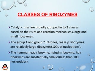 Ribozymes | PPTX