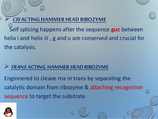 Ribozymes Ribozymes