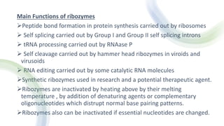 RIBOZYMES 1.pptx