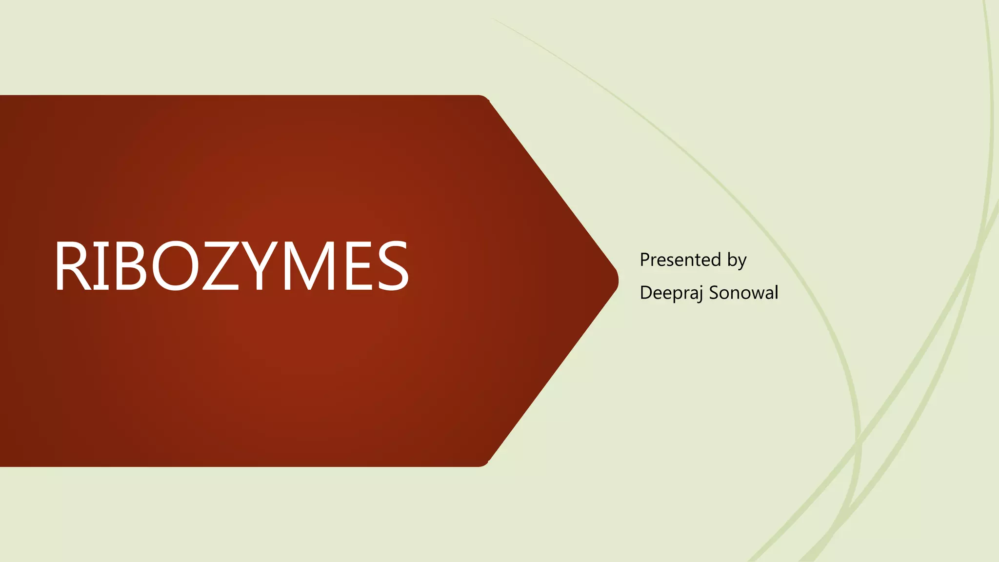 Ribozyme slide share | PPTX