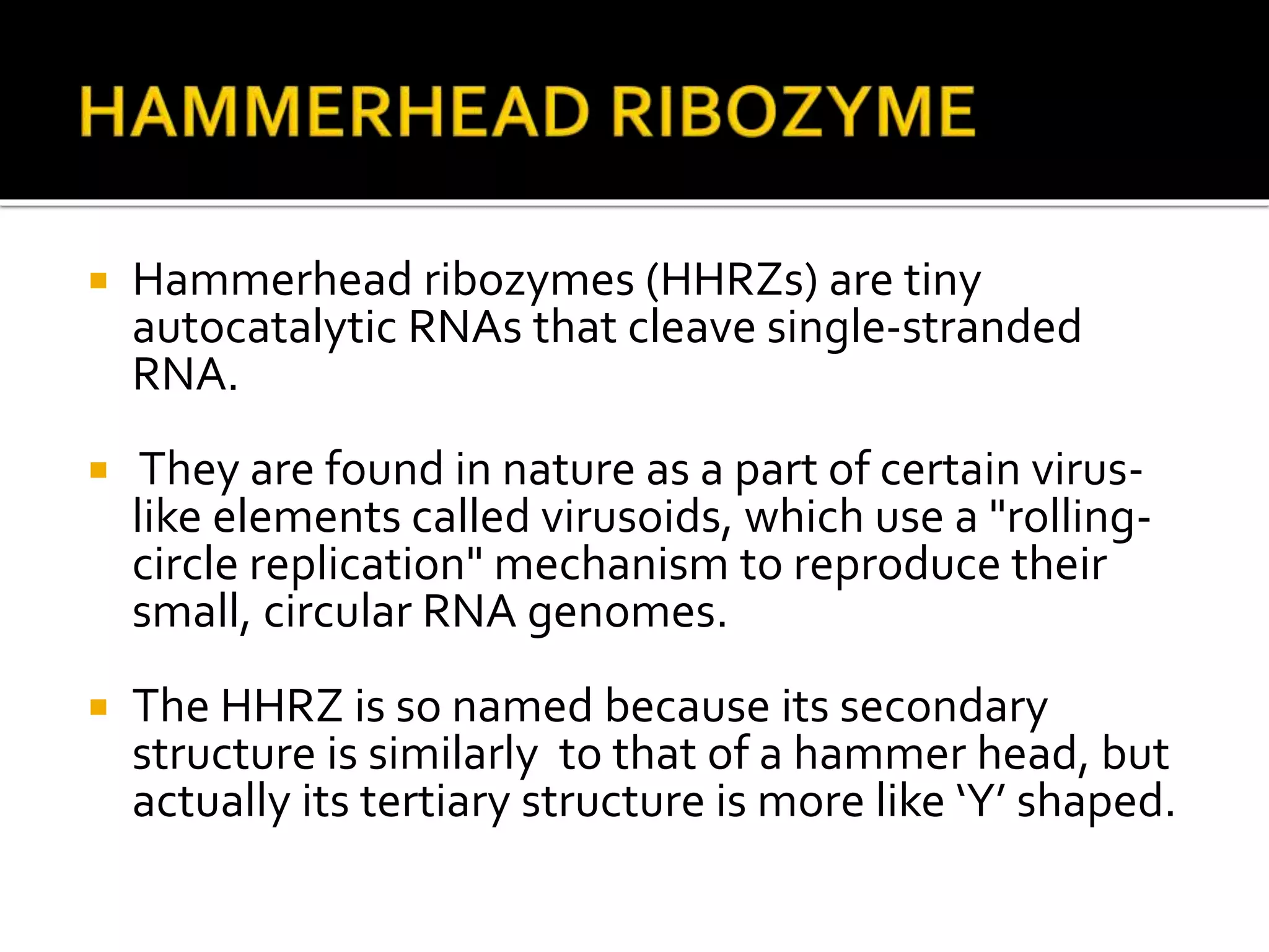 Ribozyme technology | PPTX