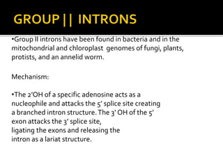 •Group II introns have been found in bacteria and in the
mitochondrial and chloroplast genomes of fungi, plants,
protists, and an annelid worm.
Mechanism:
•The 2’OH of a specific adenosine acts as a
nucleophile and attacks the 5’ splice site creating
a branched intron structure.The 3’ OH of the 5’
exon attacks the 3’ splice site,
ligating the exons and releasing the
intron as a lariat structure.
 