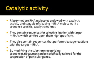  Ribozymes are RNA molecules endowed with catalytic
activity and capable of cleaving mRNA molecules in a
sequence specific, catalytic manner.
 They contain sequences for selective ligation with target
mRNAs which confers upon them high specificity.
 They also contain sequences that perform cleavage reactions
with the target mRNA.

 By modifying the substrate recognizing
sequences,ribozymes can be specifically tailored for the
suppression of particular genes.
 