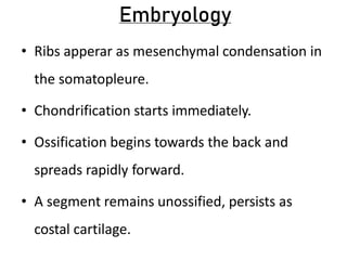 Embryology
• Ribs apperar as mesenchymal condensation in
the somatopleure.
• Chondrification starts immediately.
• Ossification begins towards the back and
spreads rapidly forward.
• A segment remains unossified, persists as
costal cartilage.
 