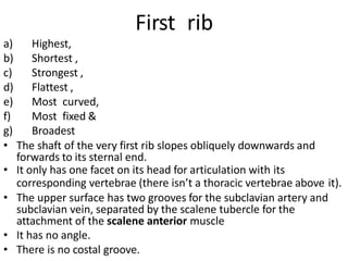 First rib
a) Highest,
b) Shortest ,
c) Strongest ,
d) Flattest ,
e) Most curved,
f) Most fixed &
g) Broadest
• The shaft of the very first rib slopes obliquely downwards and
forwards to its sternal end.
• It only has one facet on its head for articulation with its
corresponding vertebrae (there isn’t a thoracic vertebrae above it).
• The upper surface has two grooves for the subclavian artery and
subclavian vein, separated by the scalene tubercle for the
attachment of the scalene anterior muscle
• It has no angle.
• There is no costal groove.
 