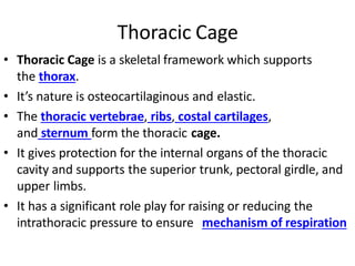 Thoracic Cage
• Thoracic Cage is a skeletal framework which supports
the thorax.
• It’s nature is osteocartilaginous and elastic.
• The thoracic vertebrae, ribs, costal cartilages,
and sternum form the thoracic cage.
• It gives protection for the internal organs of the thoracic
cavity and supports the superior trunk, pectoral girdle, and
upper limbs.
• It has a significant role play for raising or reducing the
intrathoracic pressure to ensure mechanism of respiration
 