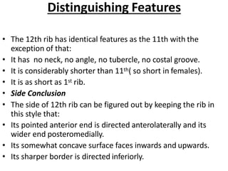 Distinguishing Features
• The 12th rib has identical features as the 11th with the
exception of that:
• It has no neck, no angle, no tubercle, no costal groove.
• It is considerably shorter than 11th( so short in females).
• It is as short as 1st rib.
• Side Conclusion
• The side of 12th rib can be figured out by keeping the rib in
this style that:
• Its pointed anterior end is directed anterolaterally and its
wider end posteromedially.
• Its somewhat concave surface faces inwards and upwards.
• Its sharper border is directed inferiorly.
 