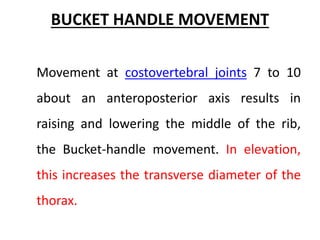 BUCKET HANDLE MOVEMENT
Movement at costovertebral joints 7 to 10
about an anteroposterior axis results in
raising and lowering the middle of the rib,
the Bucket-handle movement. In elevation,
this increases the transverse diameter of the
thorax.
 