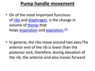 Pump handle movement
• On of the most important functions
of ribs and diaphragm, is the change in
volume of thorax that
helps inspiration and expiration.[2]
• In general, the ribs move around two axes.The
anterior end of the rib is lower than the
posterior end, therefore, during elevation of
the rib, the anterior end also moves forward
 