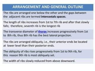 ARRANGEMENT AND GENERAL OUTLINE
The ribs are arranged one below the other and the gaps between
the adjacent ribs are termed intercostals spaces.
The length of ribs increases from 1st to 7th rib and after that slowly
falls; therefore, seventh rib is the longest rib
The transverse diameter of thorax increases progressively from 1st
to 8th rib, thus 8th rib has the best lateral projection.
The ribs are arranged obliquely, i.e., their anterior ends be located
at lower level than their posterior ends.
The obliquity of ribs rises progressively from 1st to 9th rib, for
this reason 9th rib is most obliquely set.
The width of ribs slowly reduced from above downward.
 
