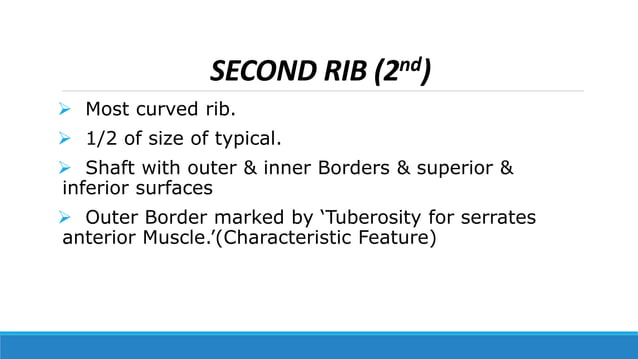 Anatomy of RIBS and the thoracic cage with function | PPTX | Death ...