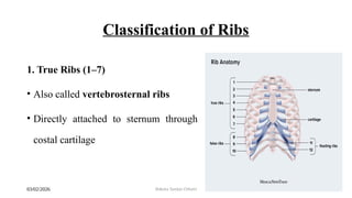 Flailing Ribs ribs fracture, flail chest , pulmonary contusion .pptx