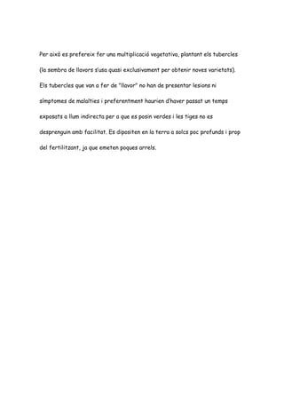 Per això es prefereix fer una multiplicació vegetativa, plantant els tubercles

(la sembra de llavors s’usa quasi exclusivament per obtenir noves varietats).

Els tubercles que van a fer de "llavor" no han de presentar lesions ni

símptomes de malalties i preferentment haurien d’haver passat un temps

exposats a llum indirecta per a que es posin verdes i les tiges no es

desprenguin amb facilitat. Es dipositen en la terra a solcs poc profunds i prop

del fertilitzant, ja que emeten poques arrels.
 