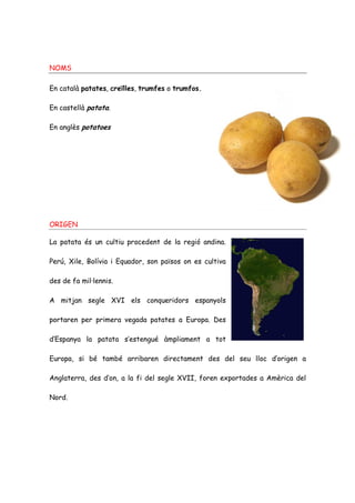 NOMS

En català patates, creïlles, trumfes o trumfos.

En castellà patata.

En anglès potatoes




ORIGEN

La patata és un cultiu procedent de la regió andina.

Perú, Xile, Bolívia i Equador, son països on es cultiva

des de fa mil·lennis.

A mitjan segle XVI els conqueridors espanyols

portaren per primera vegada patates a Europa. Des

d’Espanya la patata s’estengué àmpliament a tot

Europa, si bé també arribaren directament des del seu lloc d’origen a

Anglaterra, des d’on, a la fi del segle XVII, foren exportades a Amèrica del

Nord.
 
