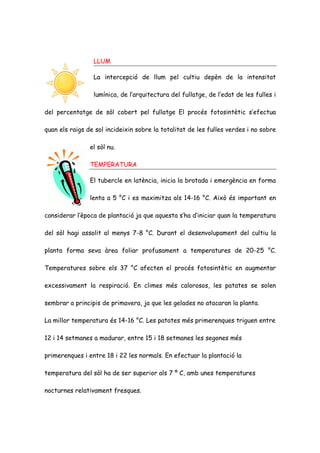 LLUM

                 La intercepció de llum pel cultiu depèn de la intensitat

                 lumínica, de l’arquitectura del fullatge, de l’edat de les fulles i

del percentatge de sòl cobert pel fullatge El procés fotosintètic s’efectua

quan els raigs de sol incideixin sobre la totalitat de les fulles verdes i no sobre

                el sòl nu.

                TEMPERATURA

                El tubercle en latència, inicia la brotada i emergència en forma

                lenta a 5 °C i es maximitza als 14-16 °C. Això és important en

considerar l’època de plantació ja que aquesta s’ha d’iniciar quan la temperatura

del sòl hagi assolit al menys 7-8 °C. Durant el desenvolupament del cultiu la

planta forma seva àrea foliar profusament a temperatures de 20-25 °C.

Temperatures sobre els 37 °C afecten el procés fotosintètic en augmentar

excessivament la respiració. En climes més calorosos, les patates se solen

sembrar a principis de primavera, ja que les gelades no atacaran la planta.

La millor temperatura és 14-16 °C. Les patates més primerenques triguen entre

12 i 14 setmanes a madurar, entre 15 i 18 setmanes les segones més

primerenques i entre 18 i 22 les normals. En efectuar la plantació la

temperatura del sòl ha de ser superior als 7 º C, amb unes temperatures

nocturnes relativament fresques.
 