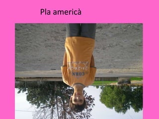 Pla americà 