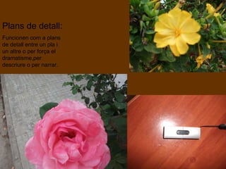 Plans de detall: Funcionen com a plans de detall entre un pla i un altre o per força el dramatisme,per descriure o per narrar. 