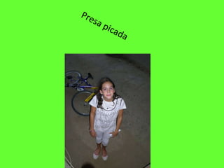 Presa picada 