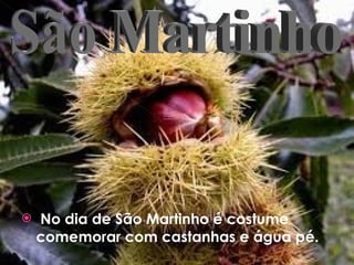 No dia de São Martinho é costume comemorar com castanhas e água pé. São Martinho 