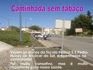 Vejam os alunos da Escola Básica 2,3 Pedro Nunes de Alcácer do Sal, empenhados na  caminhada! Foi muito cansativa, mas é muito importante para nossa saúde. Caminhada sem tabaco 