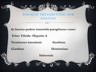 DOENÇAS TRANSMITIDAS POR
               BARATAS


As baratas podem transmitir patogêneses como:

Febre Tifoide- Hepatite A

Verminoses intestinais      Amebíase

Giardíase                   Helmintíase

                    Salmonela
 