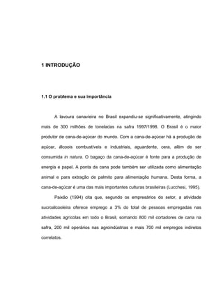 1 INTRODUÇÃO
1.1 O problema e sua importância
A lavoura canavieira no Brasil expandiu-se significativamente, atingindo
mais de 300 milhões de toneladas na safra 1997/1998. O Brasil é o maior
produtor de cana-de-açúcar do mundo. Com a cana-de-açúcar há a produção de
açúcar, álcoois combustíveis e industriais, aguardente, cera, além de ser
consumida in natura. O bagaço da cana-de-açúcar é fonte para a produção de
energia e papel. A ponta da cana pode também ser utilizada como alimentação
animal e para extração de palmito para alimentação humana. Desta forma, a
cana-de-açúcar é uma das mais importantes culturas brasileiras (Lucchesi, 1995).
Paixão (1994) cita que, segundo os empresários do setor, a atividade
sucroalcooleira oferece emprego a 3% do total de pessoas empregadas nas
atividades agrícolas em todo o Brasil, somando 800 mil cortadores de cana na
safra, 200 mil operários nas agroindústrias e mais 700 mil empregos indiretos
correlatos.
 