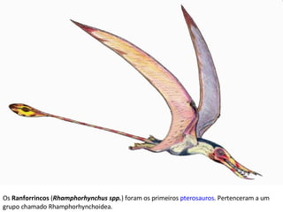Os  Ranforrincos  ( Rhamphorhynchus spp. ) foram os primeiros  pterosauros . Pertenceram a um grupo chamado Rhamphorhynchoidea. 
