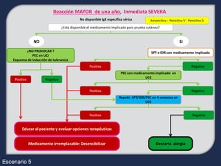Reacción MAYOR de una año, Inmediata SEVERA
                                              No disponible IgE específica sérica          Amoxicilina - Penicilina V - Penicilina G

                                   ¿Esta disponible el medicamento implicado para prueba cutánea?


                  NO                                                                                             SI

           ¿NO PROVOCAR ?                                                                  SPT e IDR con medicamento implicado
               PEC en UCI
    Esquema de inducción de tolerancia
                                                    Positiva                                                              Negativa
                                                                         PEC con medicamento implicado en
                                                                                       UCE
     Positiva           Negativa


                                                    Positiva                                                              Negativa
                                                                        Repetir SPT/IDR/PEC en 4 semanas en
                                                                                        UCE


                                                    Positiva                                                               Negativa


         Educar al paciente y evaluar opciones terapéuticas


                Medicamento irremplazable: Desensibilizar                                      Descarta alergia



Escenario 5
 