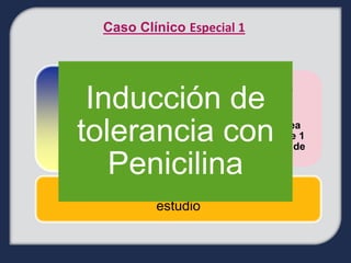 Caso Clínico Especial 1


             • Gestante de 25 años

  Inducción de
             • Sífilis gestacional en primer
               control realizado a las 18
               semanas de gestación

 tolerancia con
             • Antecedente: Prueba cutánea
               para penicilina positiva hace 1
               mes realizado en urgencias de

    Penicilina primer nivel.


Remitido por Gineco-Obstetricia para
              estudio
 