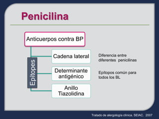 Anticuerpos contra BP

            Cadena lateral       Diferencia entre
                                 diferentes penicilinas
 Epítopes




            Determinante         Epítopos común para
             antigénico          todos los BL

                Anillo
             Tiazolidina


                             Tratado de alergología clínica. SEIAC. 2007
 