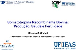 Somatotropina Recombinante Bovina:
Produção, Saude e Fertilidade
Ricardo C. Chebel
Professor Associado de Saúde e Bem-estar de Gado de Leite
 