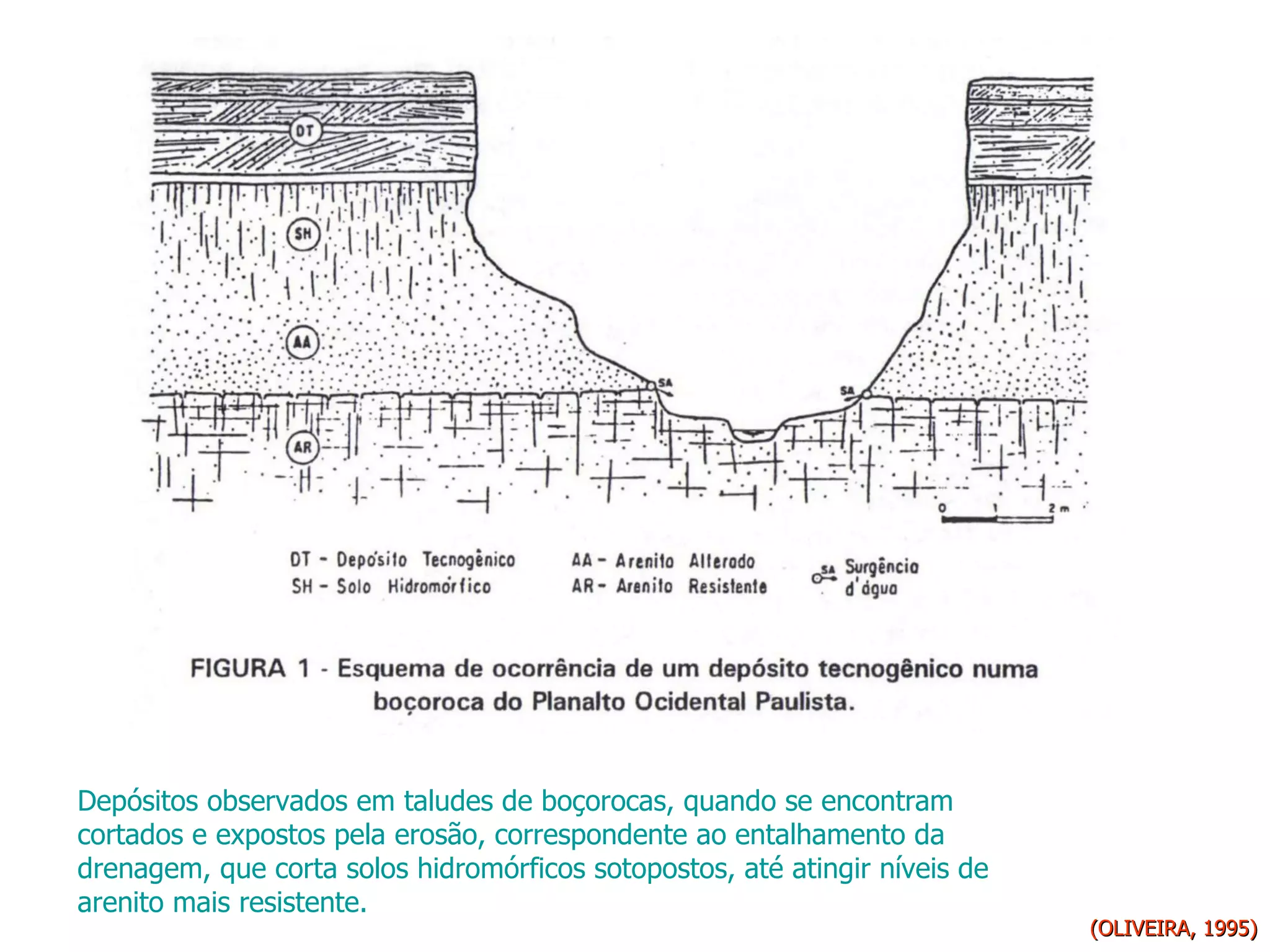 (OLIVEIRA, 1995) Depósitos observados em taludes de boçorocas, quando se encontram cortados e expostos pela erosão, correspondente ao entalhamento da drenagem, que corta solos hidromórficos sotopostos, até atingir níveis de arenito mais resistente.  