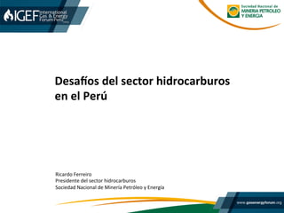 Desa%os	
  del	
  sector	
  hidrocarburos	
  
en	
  el	
  Perú	
  
Ricardo	
  Ferreiro	
  
Presidente	
  del	
  sector	
  hidrocarburos	
  
Sociedad	
  Nacional	
  de	
  Minería	
  Petróleo	
  y	
  Energía	
  
 