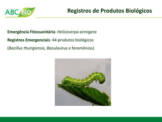Emergência Fitossanitária: Helicoverpa armigera 
Registros Emergenciais: 44 produtos biológicos 
(Bacillus thurigiensis, Baculovirus e feromônios) 
Registros de Produtos Biológicos  