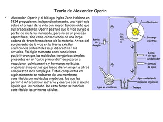 Teoría de Alexander Oparin   Alexander Oparin y el biólogo ingles John Haldane en 1924 propusieron, independientemente, una hipótesis sobre el origen de la vida con mayor fundamiento que sus predecesores. Oparin postulo que la vida surgio a partir de materia inanimada, pero no en un proceso espontáneo, sino como consecuencia de una larga cadena de transformaciones de la materia. Antes del surgimiento de la vida en la tierra existían condiciones ambientales muy diferentes a las actuales. En algún momento esas condiciones posibilitaron que las moléculas inorgánicas simples presentes en un “caldo primordial” empezaran a reaccionar químicamente y formaran moléculas orgánicas simples, las que luego dieron origen a otros compuestos mas complejos. Estos compuestos en algún momento se rodearon de una membrana, constituida por moléculas orgánicas, los que les permitió intercambiar materia y energía con el medio liquido que las rodeaba. De esta forma se habrían constituido las primeras células.  